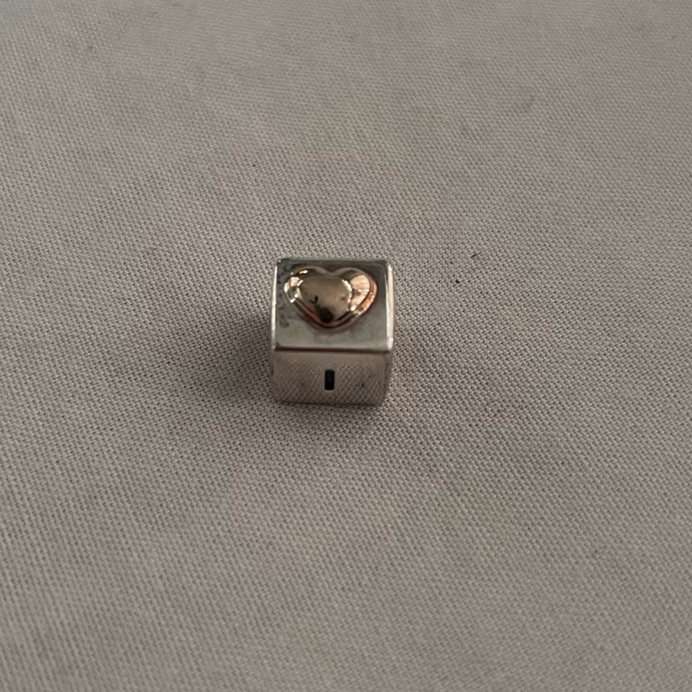 Two tone Pandora charm